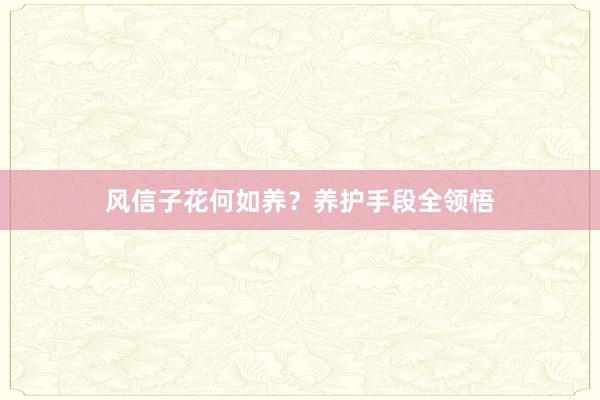 风信子花何如养？养护手段全领悟